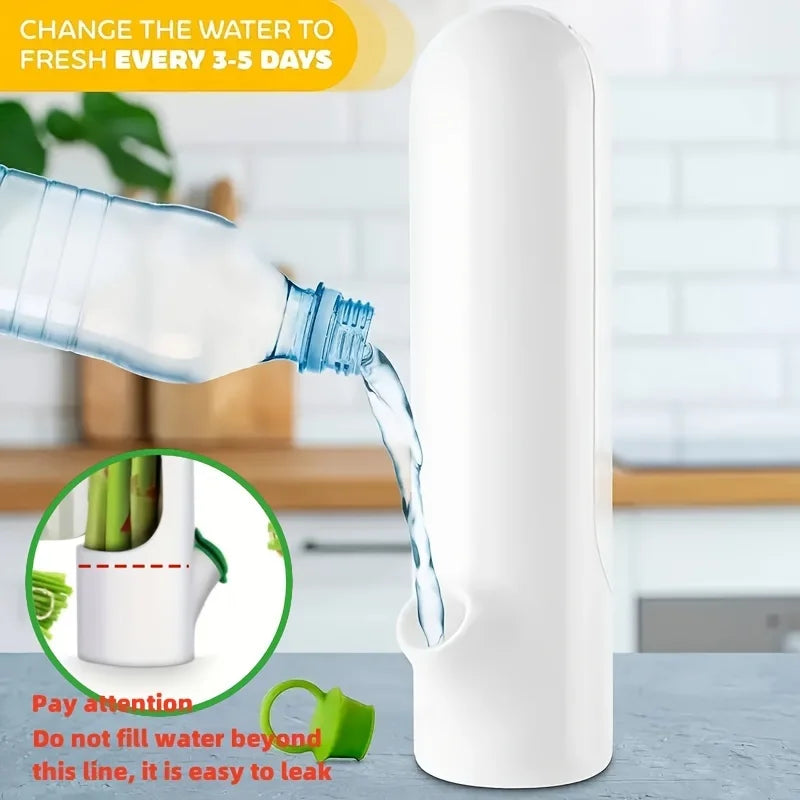 Herb & Vegetable Fresh Keeper Container