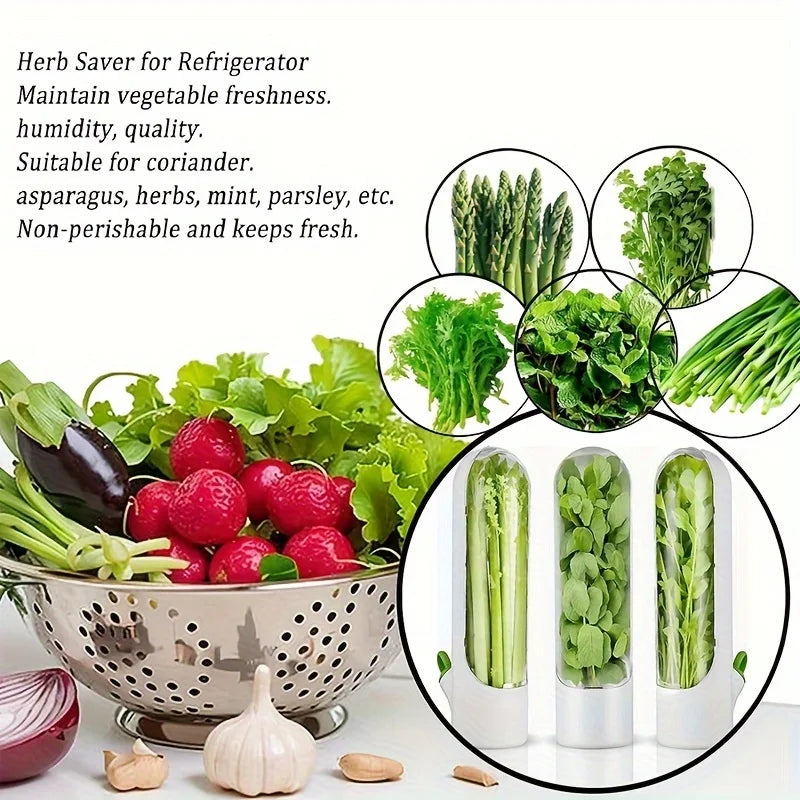 Herb & Vegetable Fresh Keeper Container