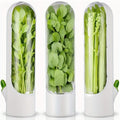 Herb & Vegetable Fresh Keeper Container