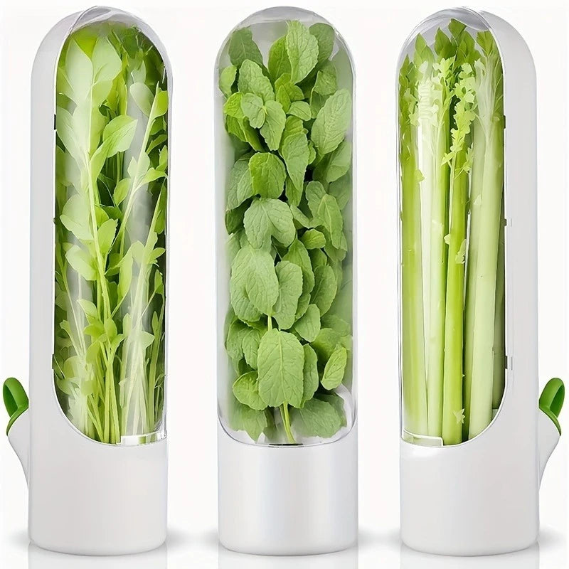 Herb & Vegetable Fresh Keeper Container