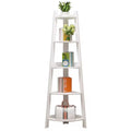 Corner Ladder Shelf