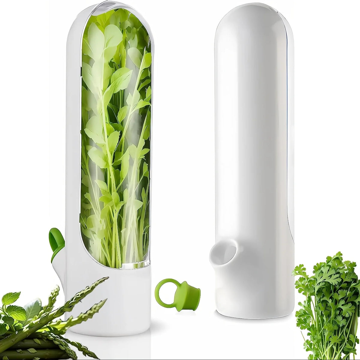 Herb & Vegetable Fresh Keeper Container