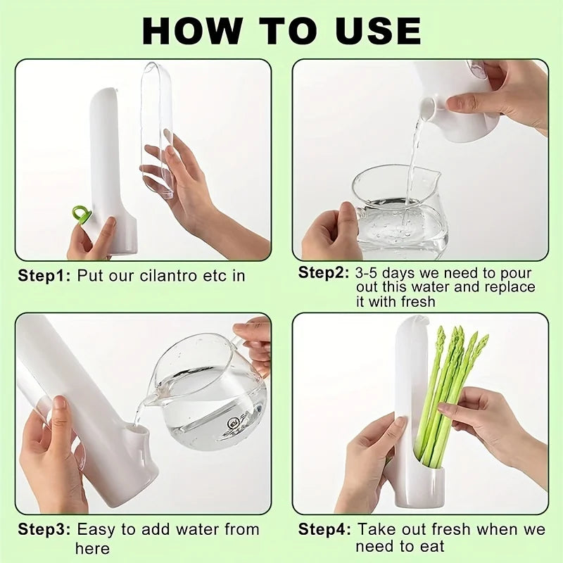 Herb & Vegetable Fresh Keeper Container