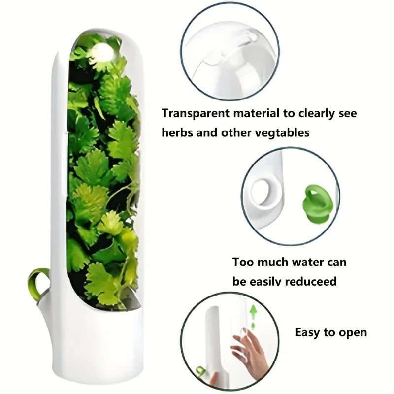 Herb & Vegetable Fresh Keeper Container